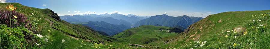 Estese fioriture salendo sul sent. 109 con vista sui Piani d'Avaro e verso la Valle Brembana
